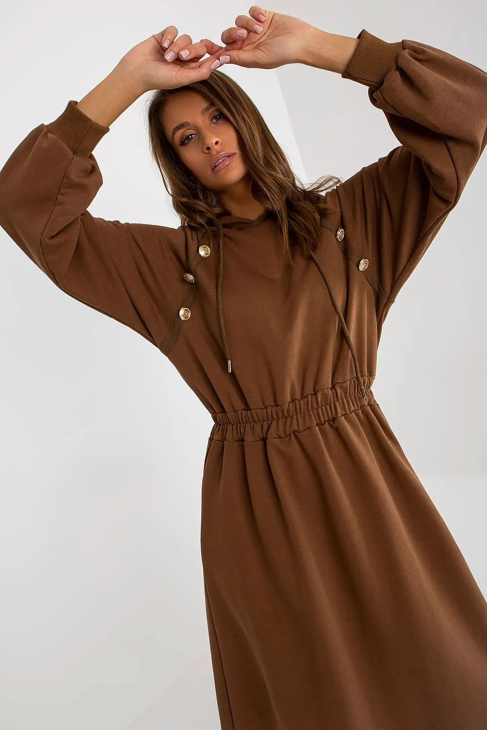 Chic Comfort Hoodie Dress