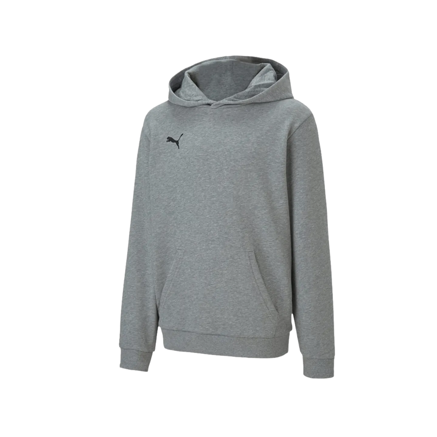 Puma Team Goal 23 Causals Youth Hoodie