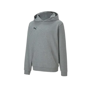 Puma Team Goal 23 Causals Youth Hoodie