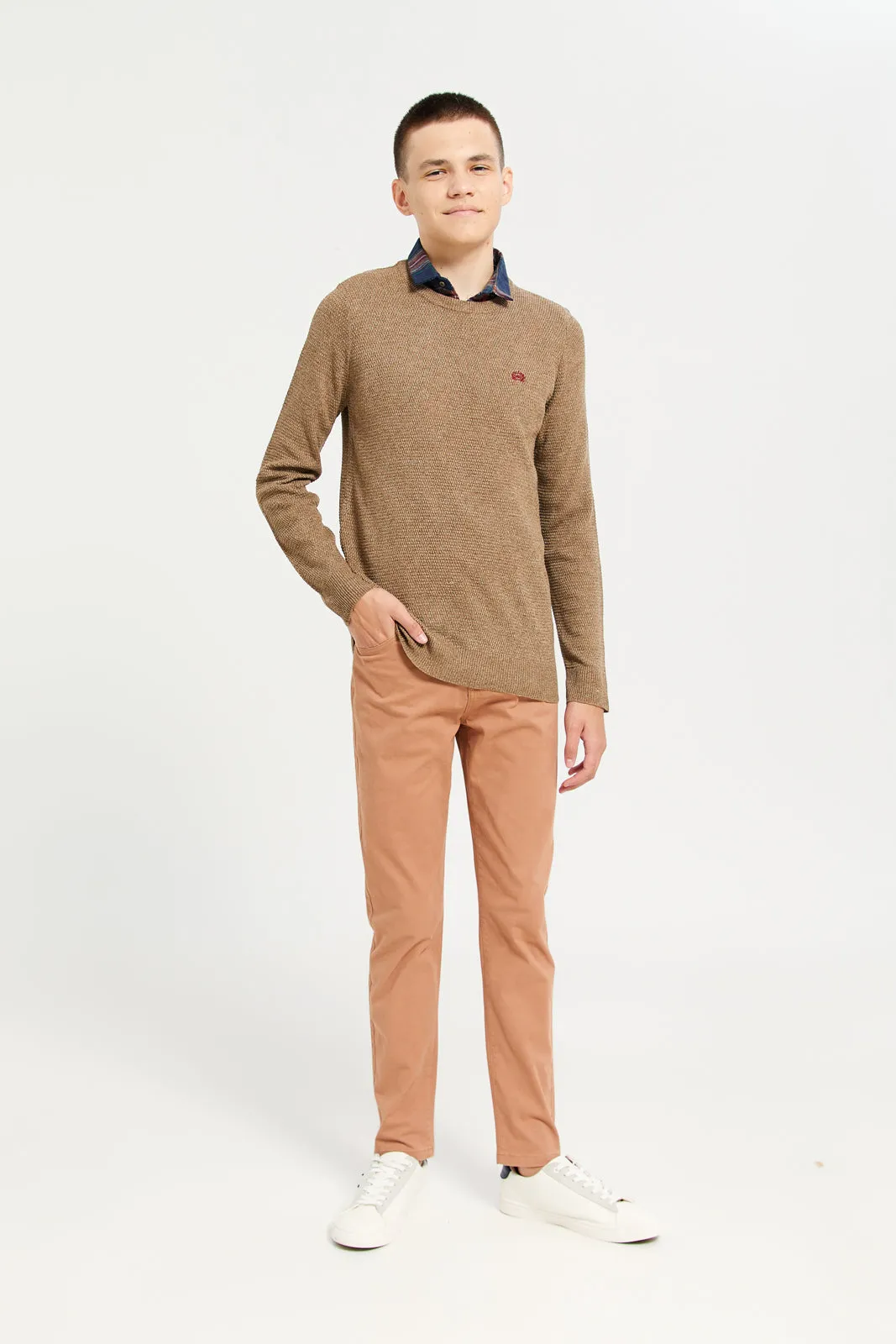 Senior Boys Beige Collared Sweater