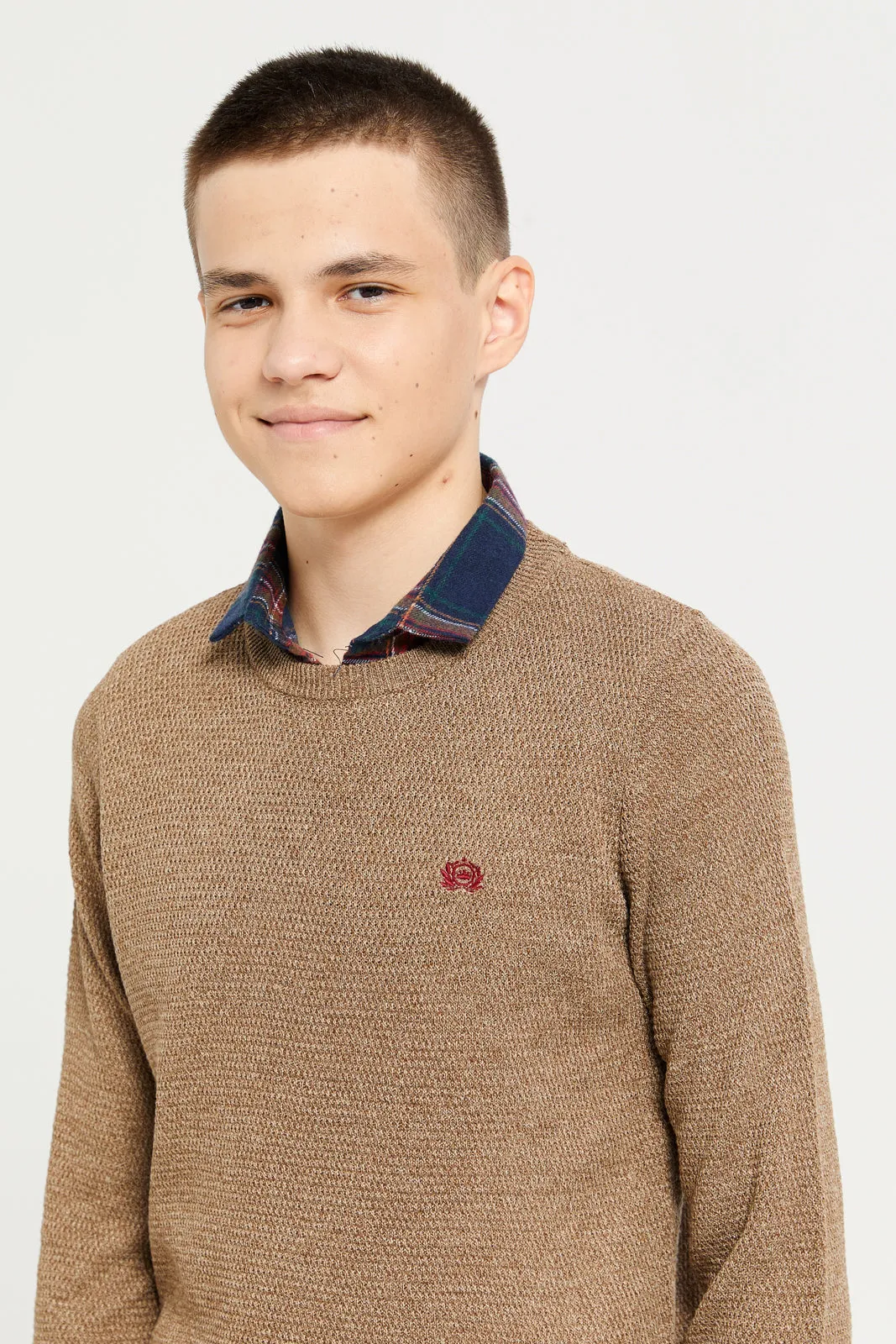 Senior Boys Beige Collared Sweater