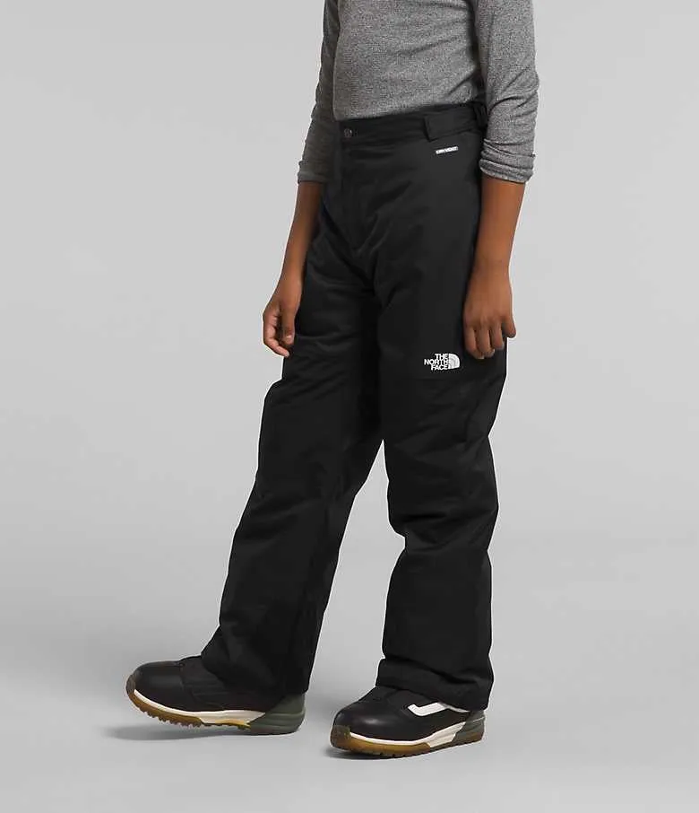 The North Face Boys' Freedom Insulated Pants