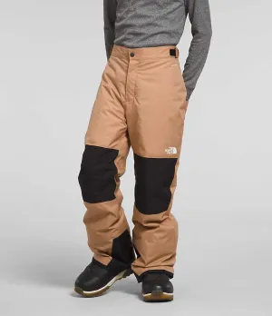 The North Face Boys' Freedom Insulated Pants